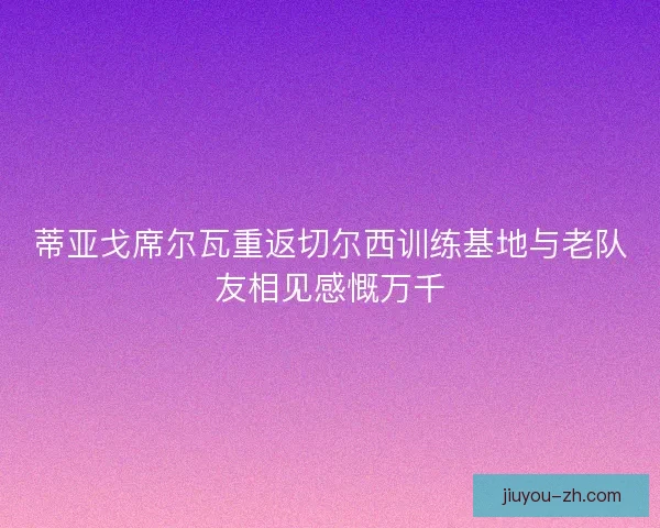 蒂亚戈席尔瓦重返切尔西训练基地与老队友相见感慨万千