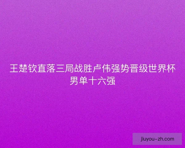 王楚钦直落三局战胜卢伟强势晋级世界杯男单十六强
